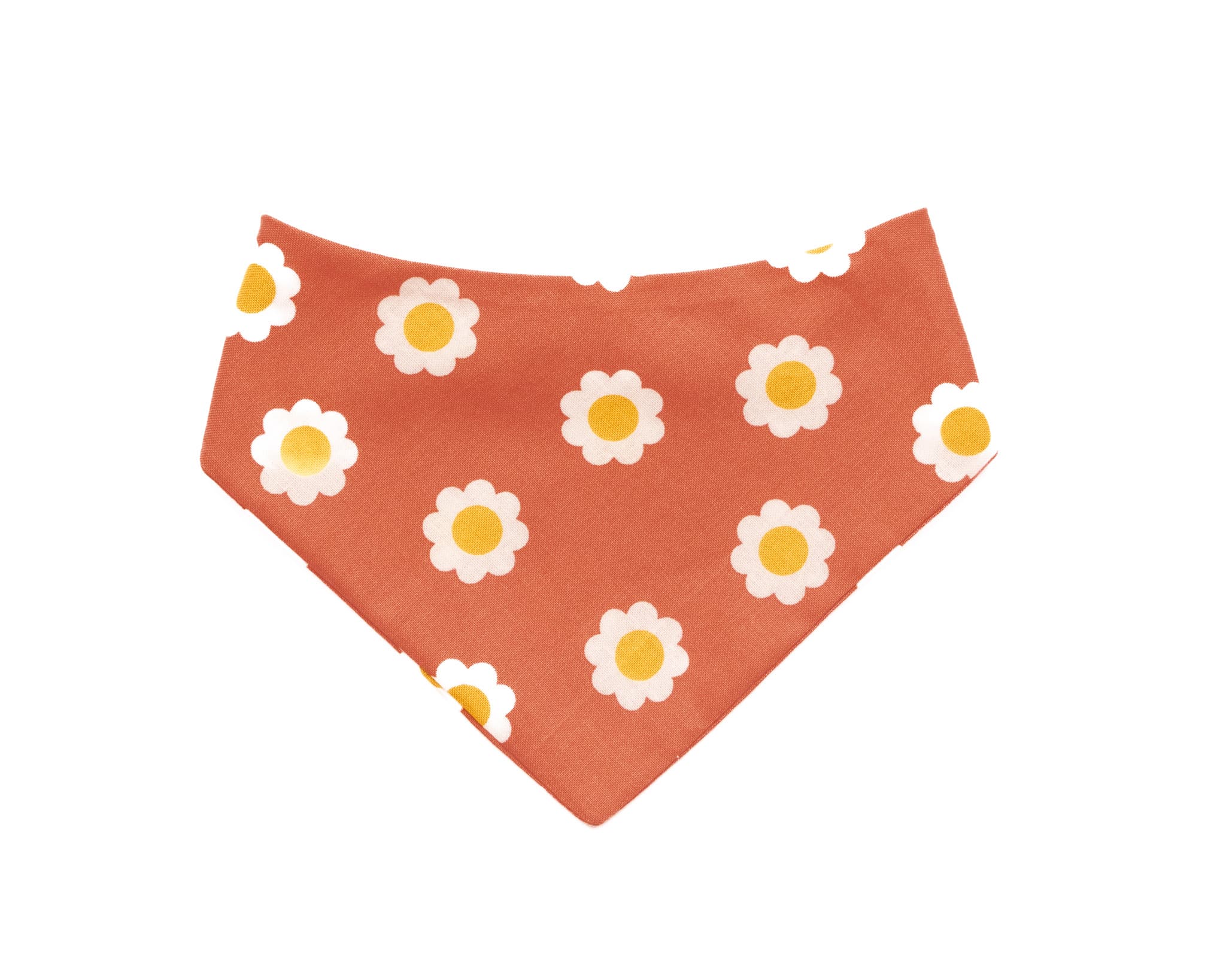 Orange Blossom Daisy Bandana