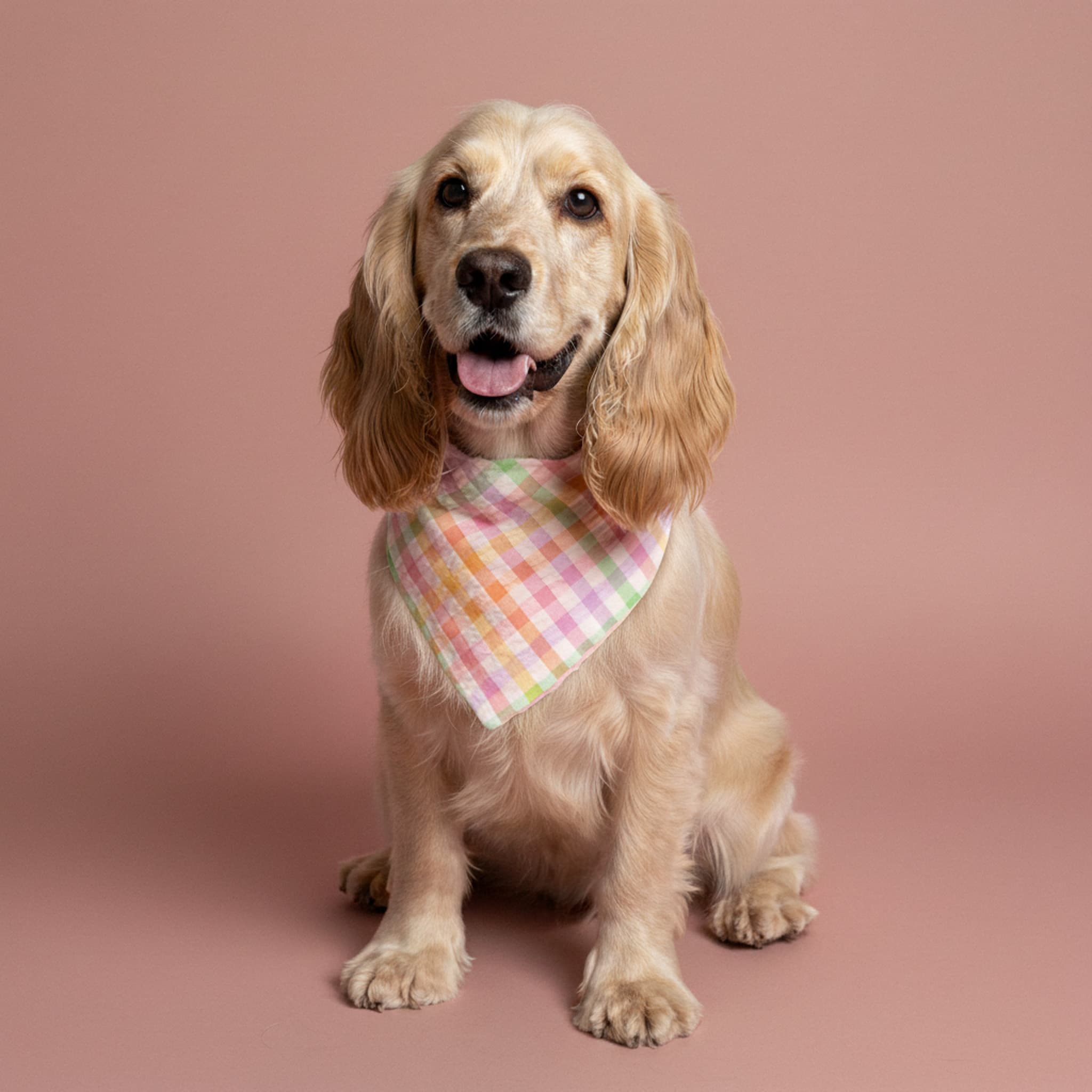 Pastel Picnic Plaid Bandana